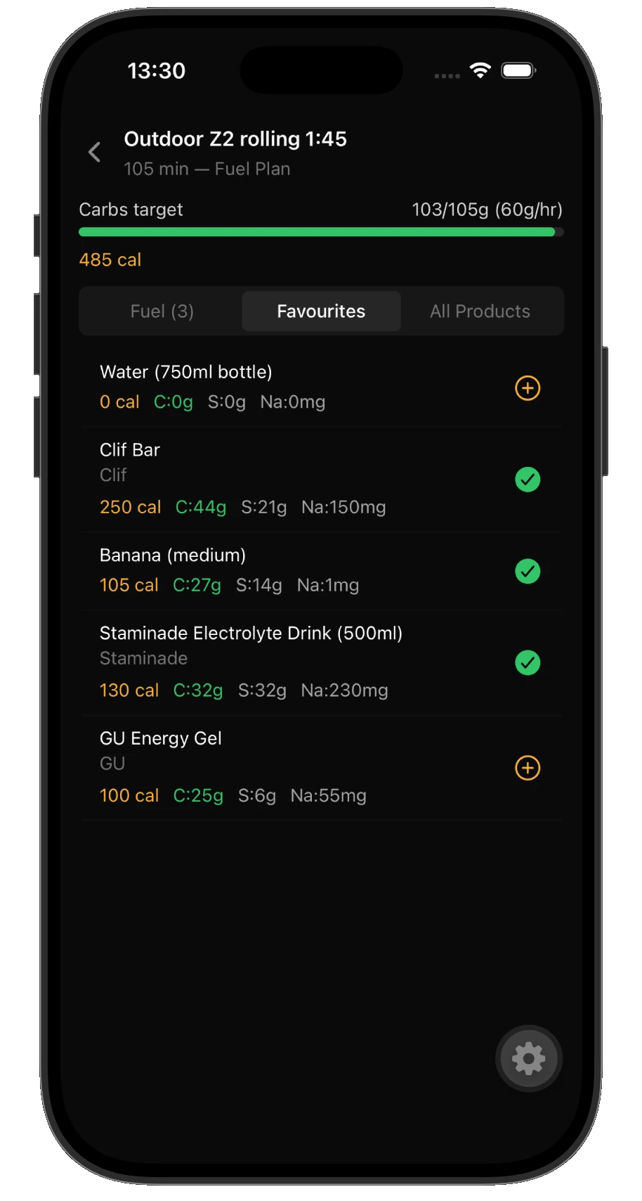 Fuel Bag